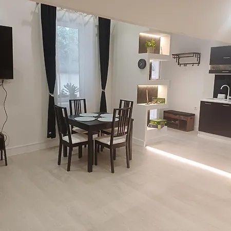 公寓 Center 1 布达佩斯